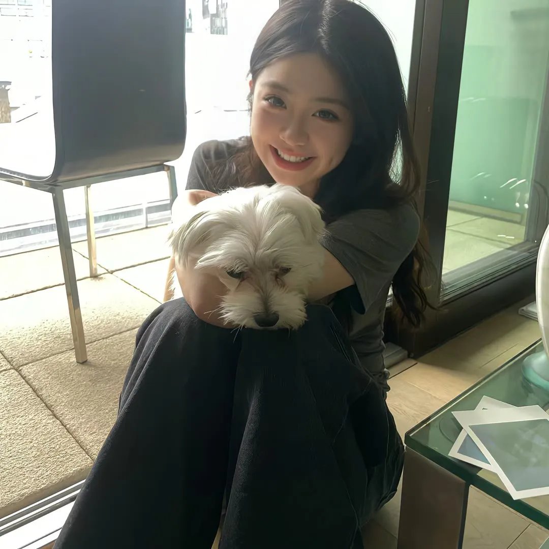 转生成猫的大叔